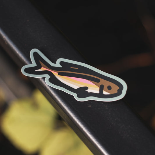 Fish Sticker